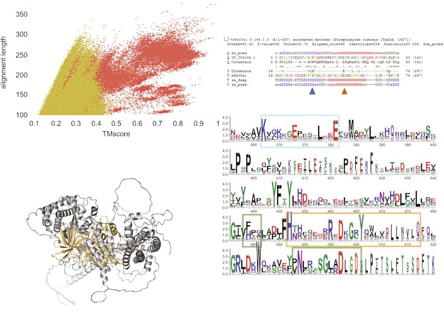 A graphical abstract of the publication Methods for discovering catalytic activities for pseudokinases
